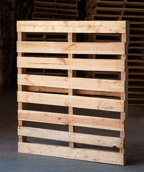 tarimas, tarimas de madera, venta de tarimas, tarimas recicladas, tarimas para exportacion, tarimas de madera nuevas para exportacion, tarimas con tratamiento para exportacion, tarimas nuevas con tratamiento para exportacion, venta de tarimas de madera, tarimas de madera recicladas, venta de tarimas de madera recicladas, tarimas en ramos arizpe, tarimas de madera en ramos arizpe, venta de tarimas en ramos arizpe, tarimas recicladas en ramos arizpe, tarimas para exportacion en ramos arizpe, tarimas de madera nuevas para exportacion en ramos arizpe, tarimas con tratamiento para exportacion en ramos arizpe, tarimas nuevas con tratamiento para exportacion en ramos arizpe, venta de tarimas de madera, tarimas de madera recicladas en ramos arizpe, venta de tarimas de madera recicladas en ramos arizpe,