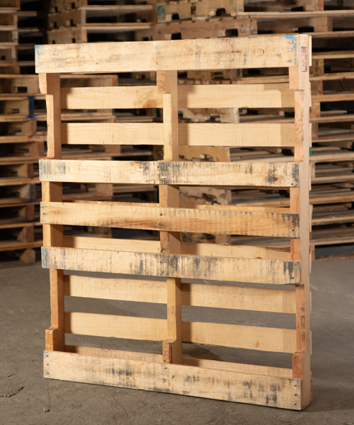 tarimas, tarimas de madera, venta de tarimas, tarimas recicladas, tarimas para exportacion, tarimas de madera nuevas para exportacion, tarimas con tratamiento para exportacion, tarimas nuevas con tratamiento para exportacion, venta de tarimas de madera, tarimas de madera recicladas, venta de tarimas de madera recicladas, tarimas en ramos arizpe, tarimas de madera en ramos arizpe, venta de tarimas en ramos arizpe, tarimas recicladas en ramos arizpe, tarimas para exportacion en ramos arizpe, tarimas de madera nuevas para exportacion en ramos arizpe, tarimas con tratamiento para exportacion en ramos arizpe, tarimas nuevas con tratamiento para exportacion en ramos arizpe, venta de tarimas de madera, tarimas de madera recicladas en ramos arizpe, venta de tarimas de madera recicladas en ramos arizpe,