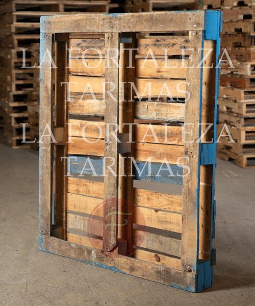 tarimas, tarimas de madera, venta de tarimas, tarimas recicladas, tarimas para exportacion, tarimas de madera nuevas para exportacion, tarimas con tratamiento para exportacion, tarimas nuevas con tratamiento para exportacion, venta de tarimas de madera, tarimas de madera recicladas, venta de tarimas de madera recicladas, tarimas en ramos arizpe, tarimas de madera en ramos arizpe, venta de tarimas en ramos arizpe, tarimas recicladas en ramos arizpe, tarimas para exportacion en ramos arizpe, tarimas de madera nuevas para exportacion en ramos arizpe, tarimas con tratamiento para exportacion en ramos arizpe, tarimas nuevas con tratamiento para exportacion en ramos arizpe, venta de tarimas de madera, tarimas de madera recicladas en ramos arizpe, venta de tarimas de madera recicladas en ramos arizpe,