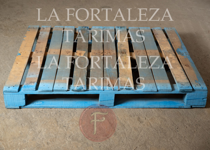 tarimas, tarimas de madera, venta de tarimas, tarimas recicladas, tarimas para exportacion, tarimas de madera nuevas para exportacion, tarimas con tratamiento para exportacion, tarimas nuevas con tratamiento para exportacion, venta de tarimas de madera, tarimas de madera recicladas, venta de tarimas de madera recicladas, tarimas en ramos arizpe, tarimas de madera en ramos arizpe, venta de tarimas en ramos arizpe, tarimas recicladas en ramos arizpe, tarimas para exportacion en ramos arizpe, tarimas de madera nuevas para exportacion en ramos arizpe, tarimas con tratamiento para exportacion en ramos arizpe, tarimas nuevas con tratamiento para exportacion en ramos arizpe, venta de tarimas de madera, tarimas de madera recicladas en ramos arizpe, venta de tarimas de madera recicladas en ramos arizpe,