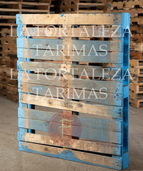 tarimas, tarimas de madera, venta de tarimas, tarimas recicladas, tarimas para exportacion, tarimas de madera nuevas para exportacion, tarimas con tratamiento para exportacion, tarimas nuevas con tratamiento para exportacion, venta de tarimas de madera, tarimas de madera recicladas, venta de tarimas de madera recicladas, tarimas en ramos arizpe, tarimas de madera en ramos arizpe, venta de tarimas en ramos arizpe, tarimas recicladas en ramos arizpe, tarimas para exportacion en ramos arizpe, tarimas de madera nuevas para exportacion en ramos arizpe, tarimas con tratamiento para exportacion en ramos arizpe, tarimas nuevas con tratamiento para exportacion en ramos arizpe, venta de tarimas de madera, tarimas de madera recicladas en ramos arizpe, venta de tarimas de madera recicladas en ramos arizpe,